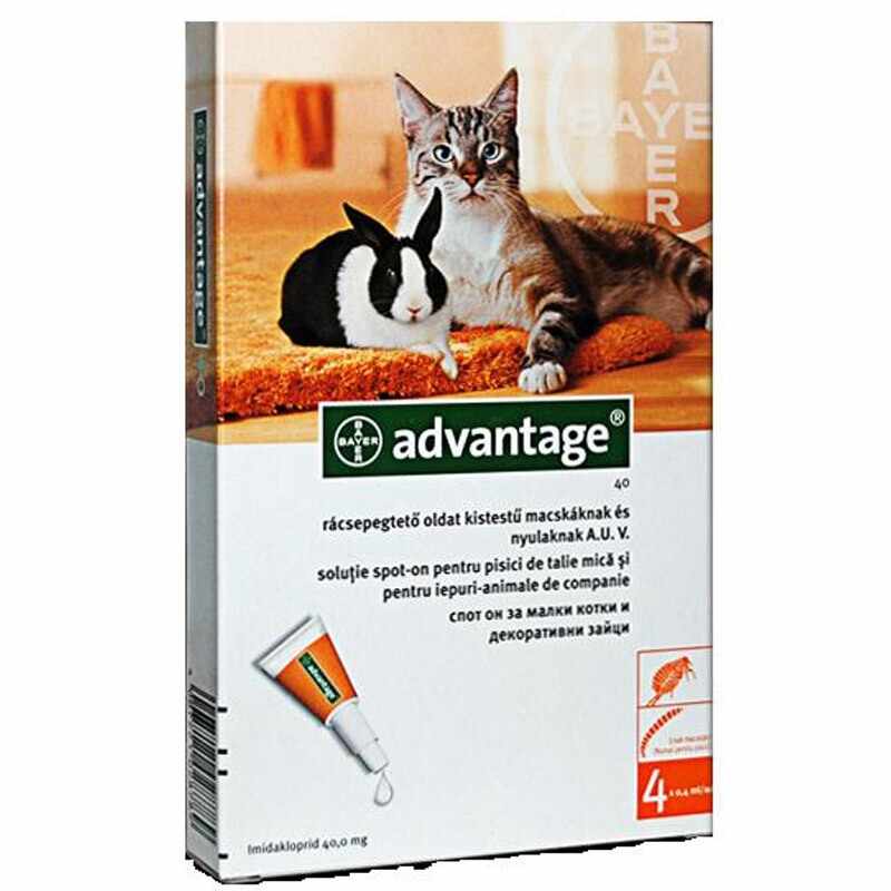 Advantage Pisica/Iepure 40 0-4 Kg, 1 Pipeta