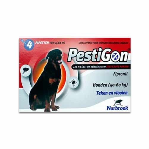 Pestigon Caine XL, 40-60 Kg, 1 Pipeta
